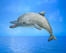 Dolphin, Whistling Hand Puppet