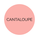 Shade Collection Cantaloupe Dessert Plates