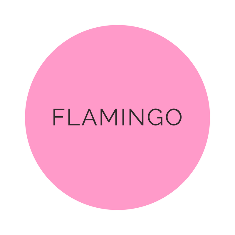 Shade Collection Flamingo 12 oz. Cups