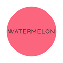Shade Collection Watermelon Dessert Plates