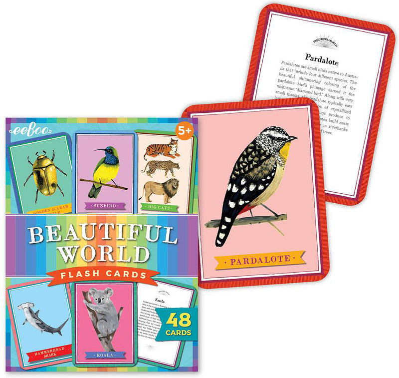 Beautiful World Flash Cards