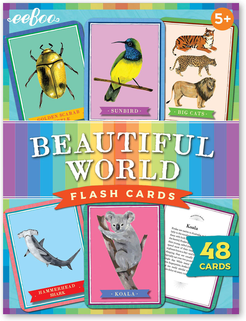 Beautiful World Flash Cards