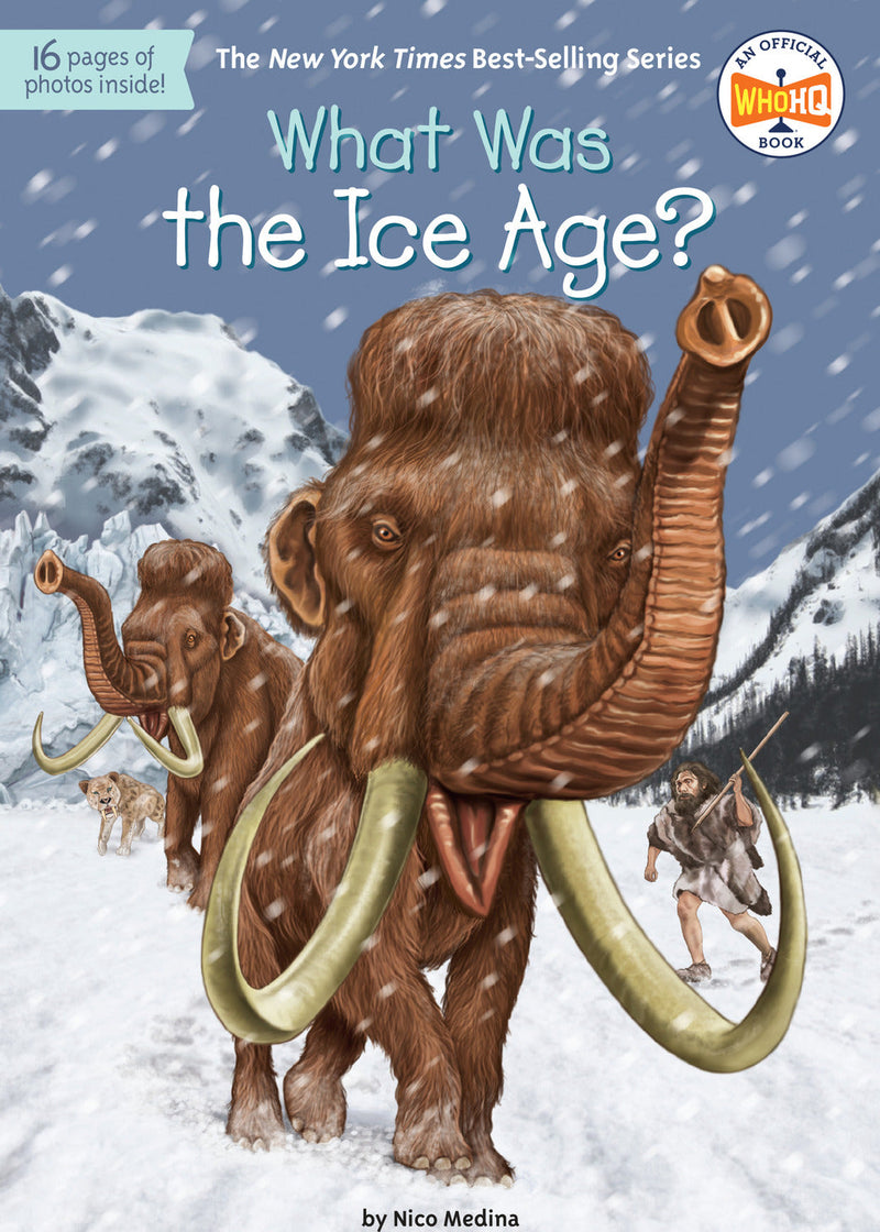 What Was the Ice Age?