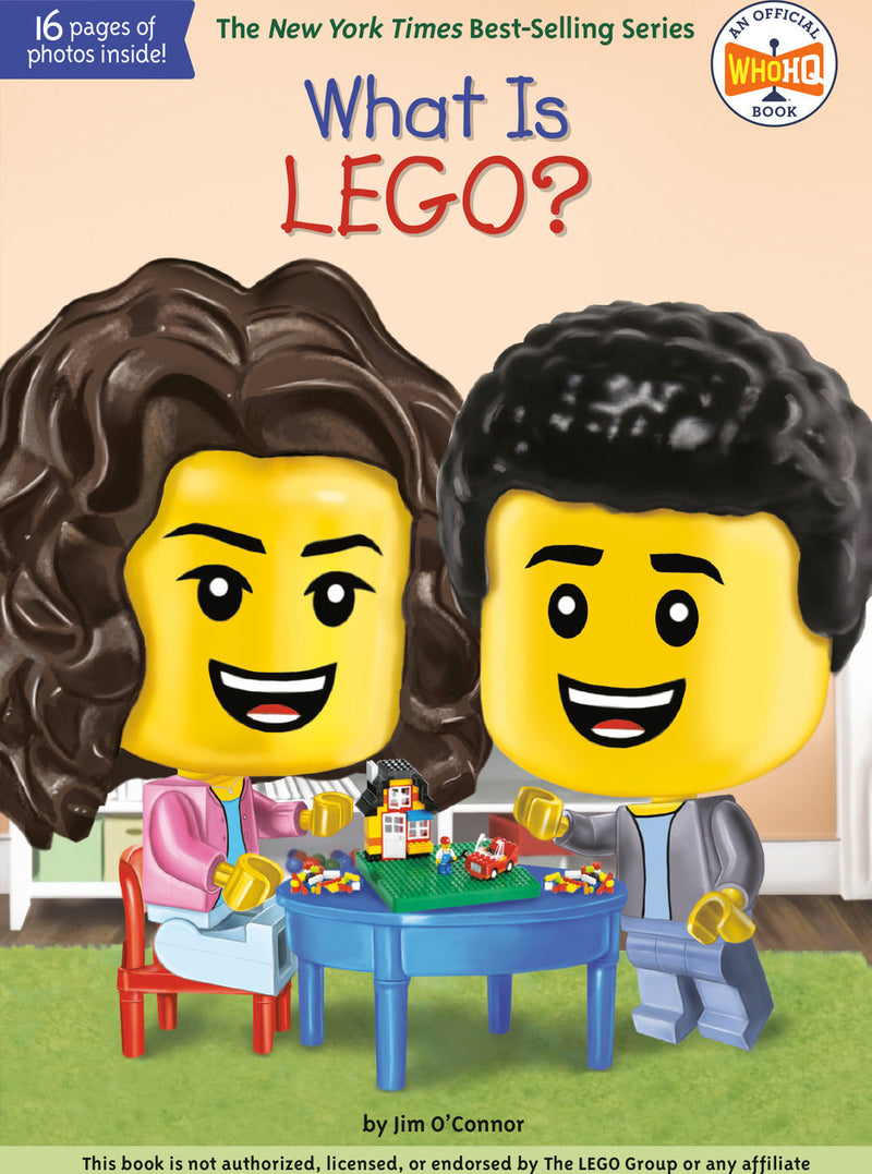 What Is LEGO?