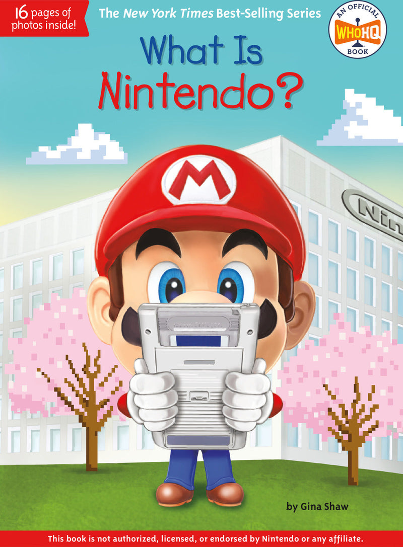 What Is Nintendo?