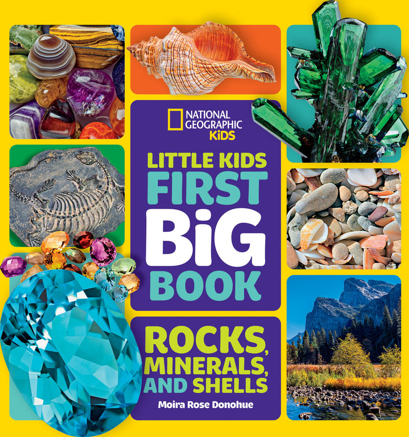 Little Kids First Big Book of Rocks, Minerals & Shells