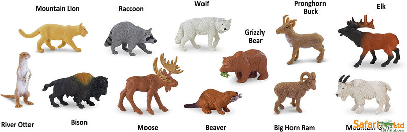 North American Wildlife