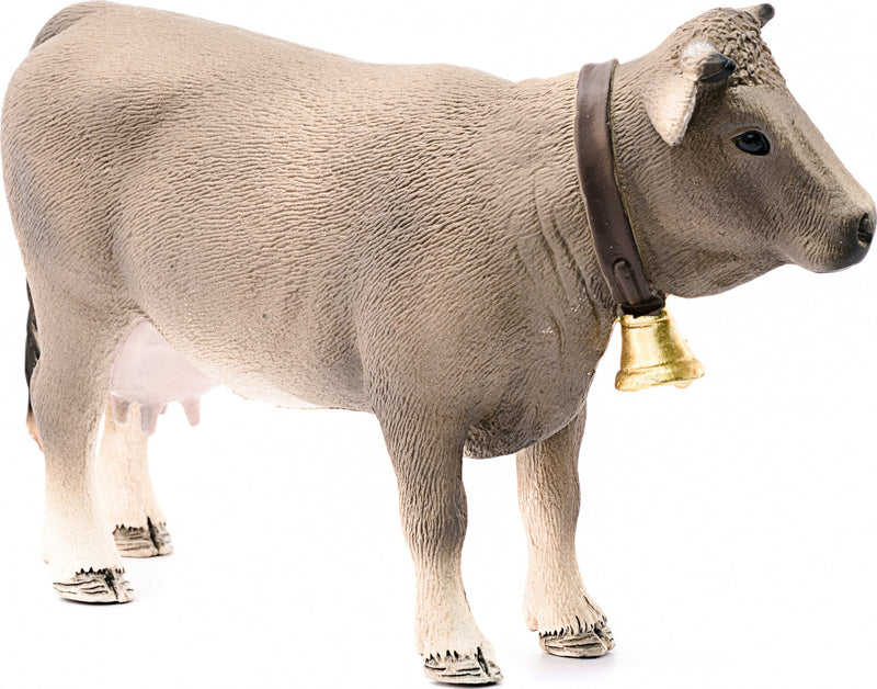 Braunvieh Cow