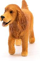 English Cocker Spaniel