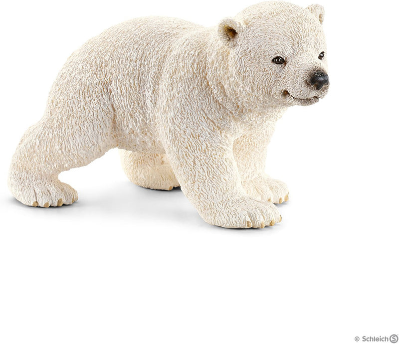 Polar Bear Cub, Walking