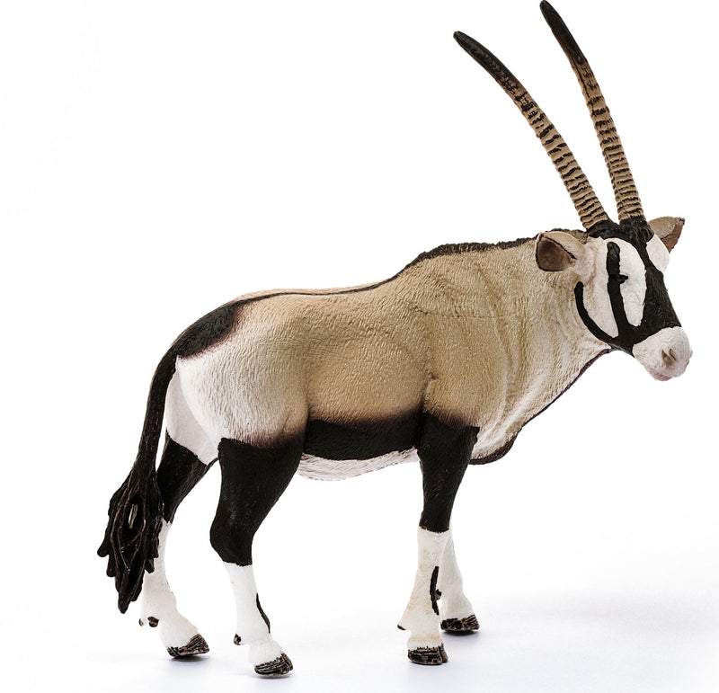 Oryx