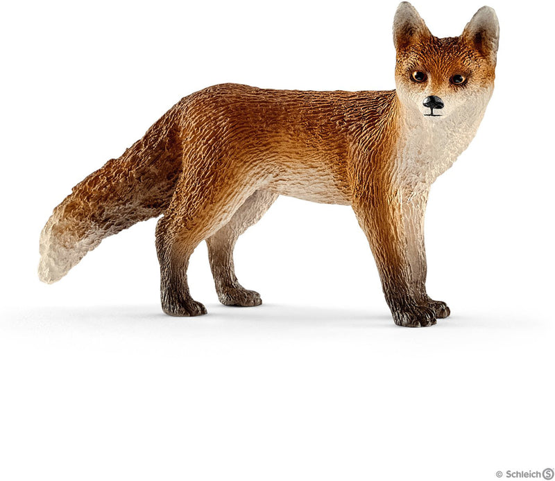 Fox