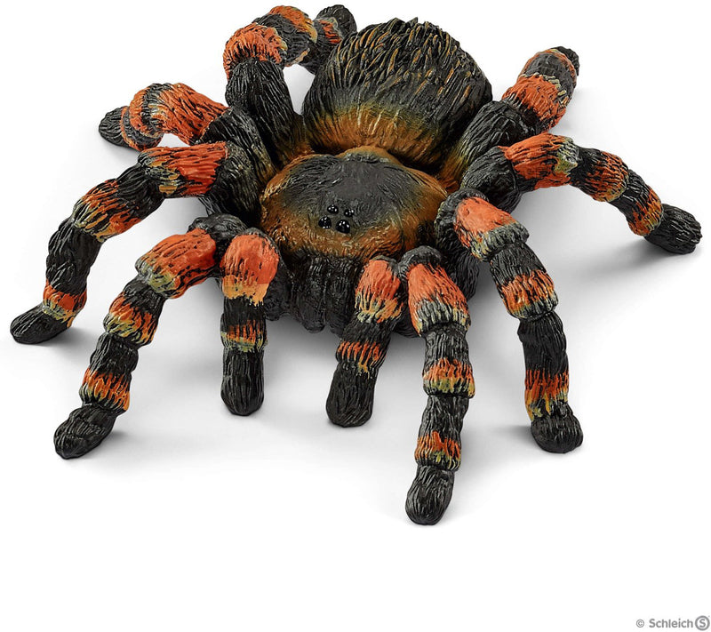 Tarantula