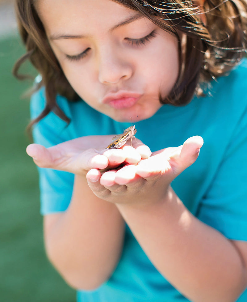 Butterfly Garden