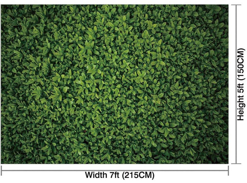 Greenery Print Boxwood Backdrop (5x7 Feet)