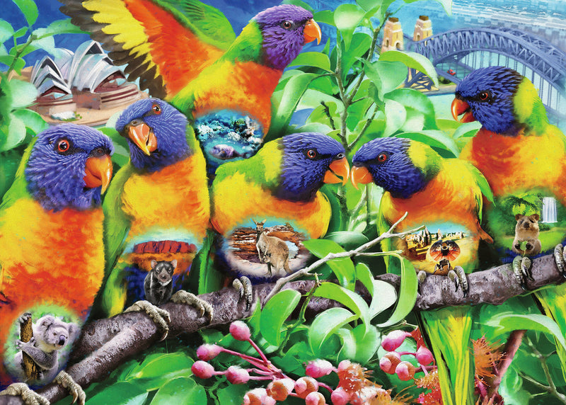 Land Of The Lorikeet