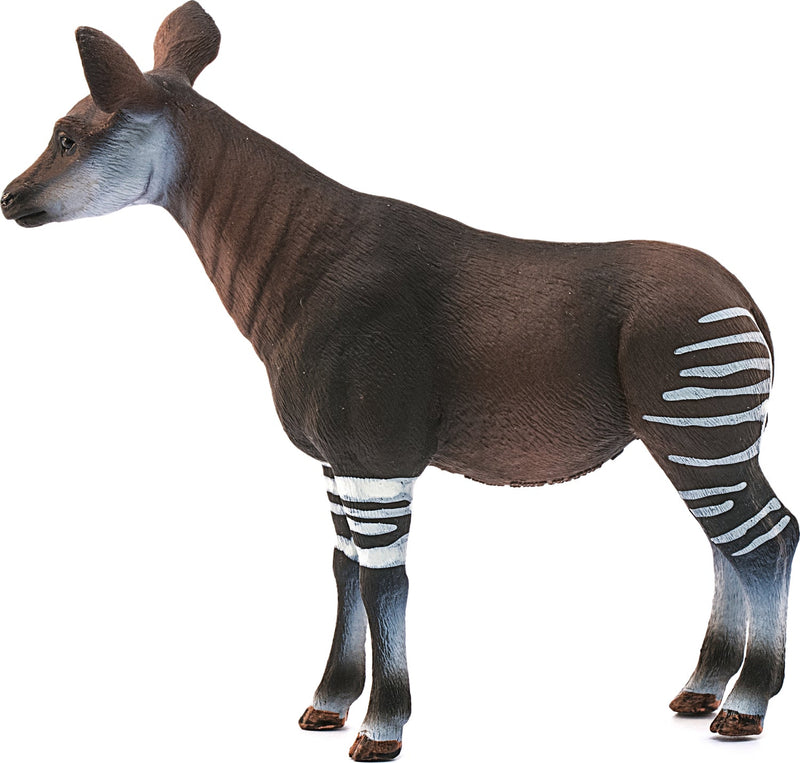 Okapi