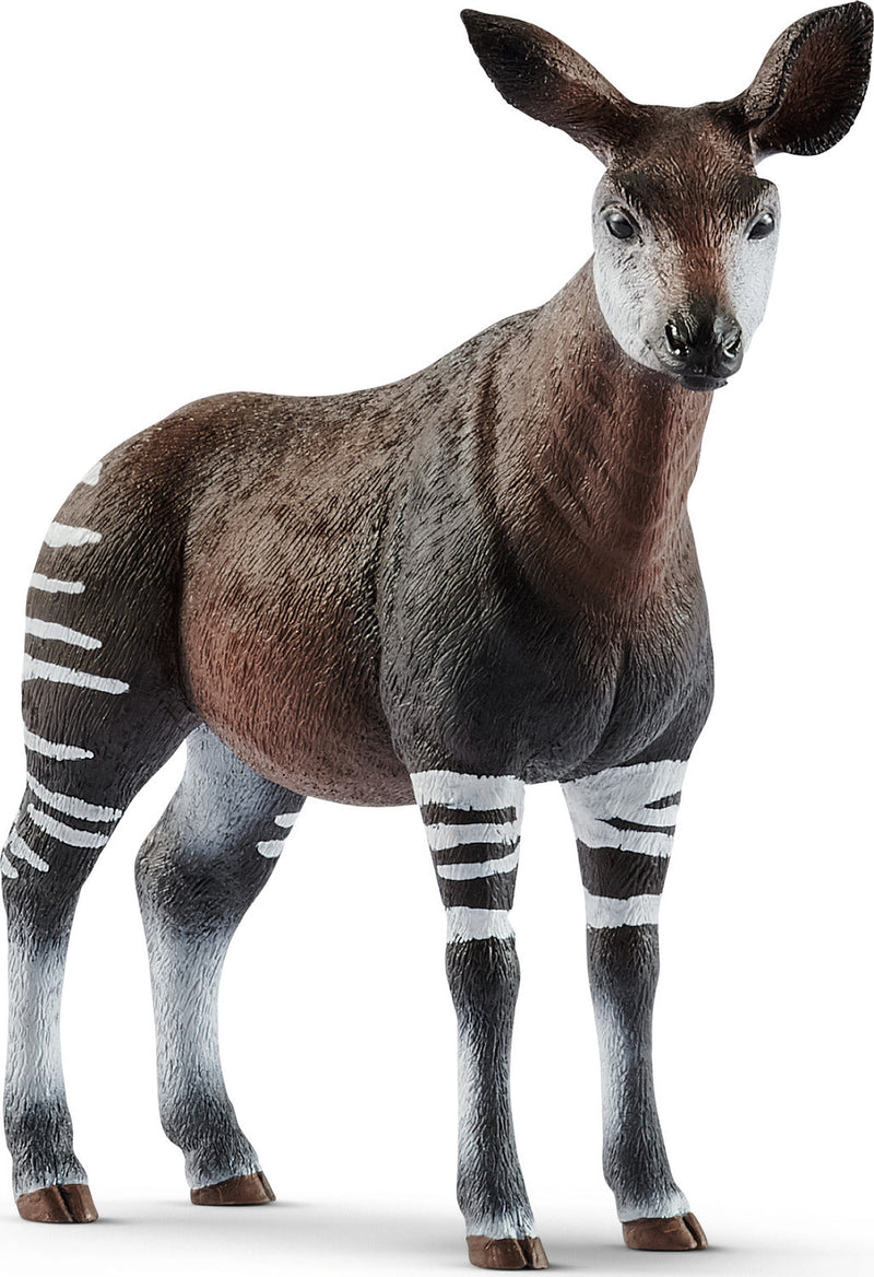 Okapi