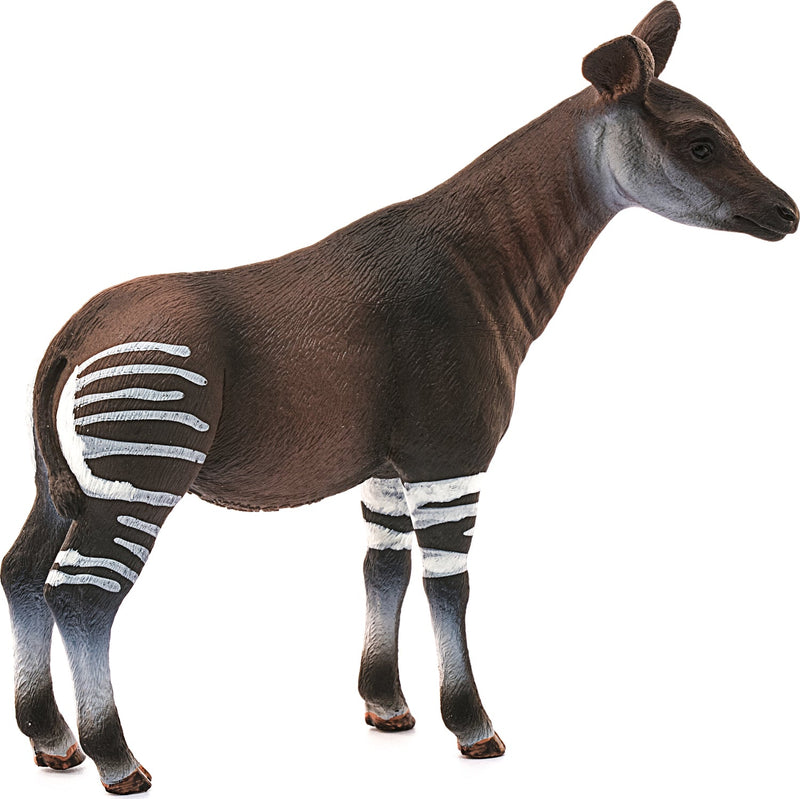 Okapi