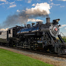 All Aboard for Train Adventures