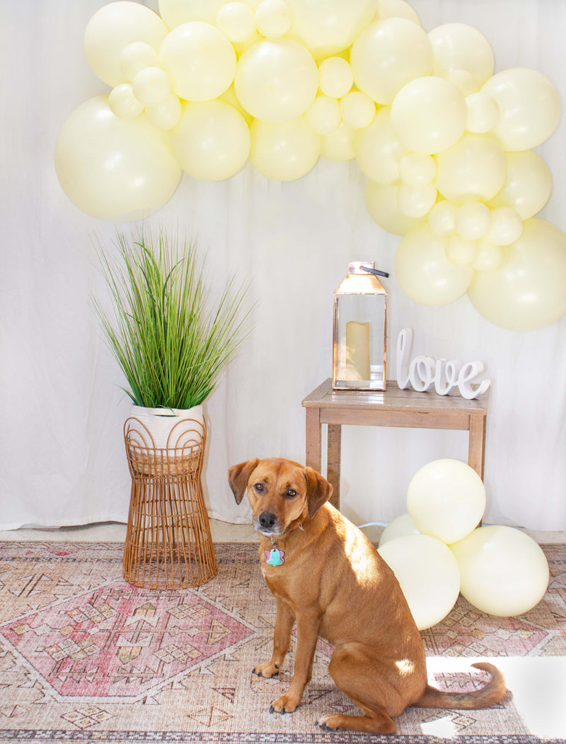 Yellow Balloon Garland Kit (5 Feet)